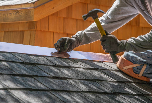 Best Roof Ventilation Installation  in Hastings, MN